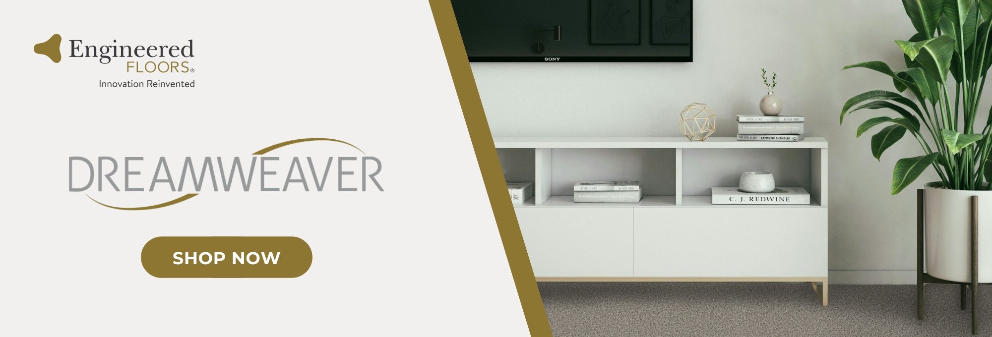 Browse Dreamweaver products