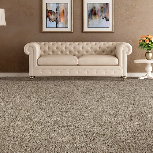 Americarpet providing stain-resistant pet proof carpet in Layton, UT