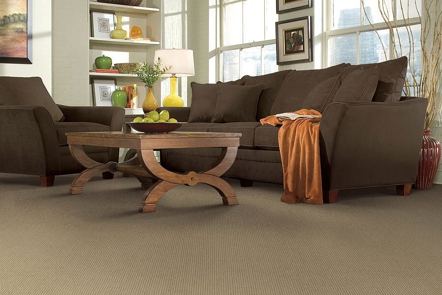 brown couch on carpet - Americarpets of Layton, UT