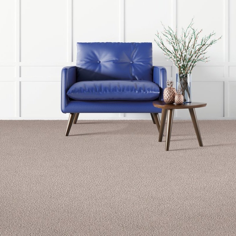 Americarpet providing stain-resistant pet proof carpet in Layton, UT - Coastal Vision I